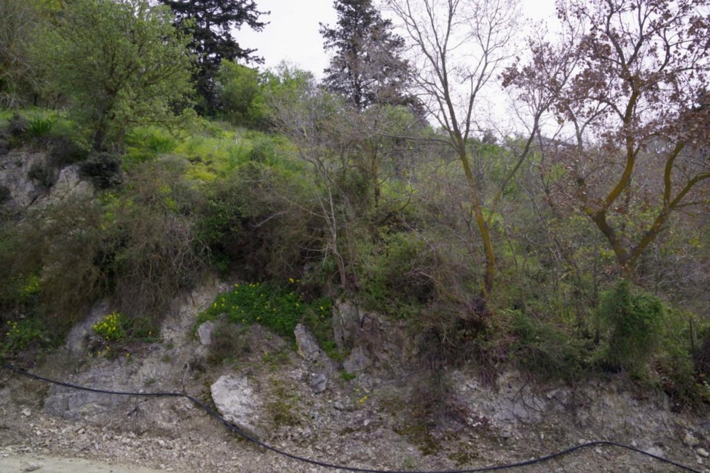 Кафе, ресторан в Пафосе, Кипр - фото 9