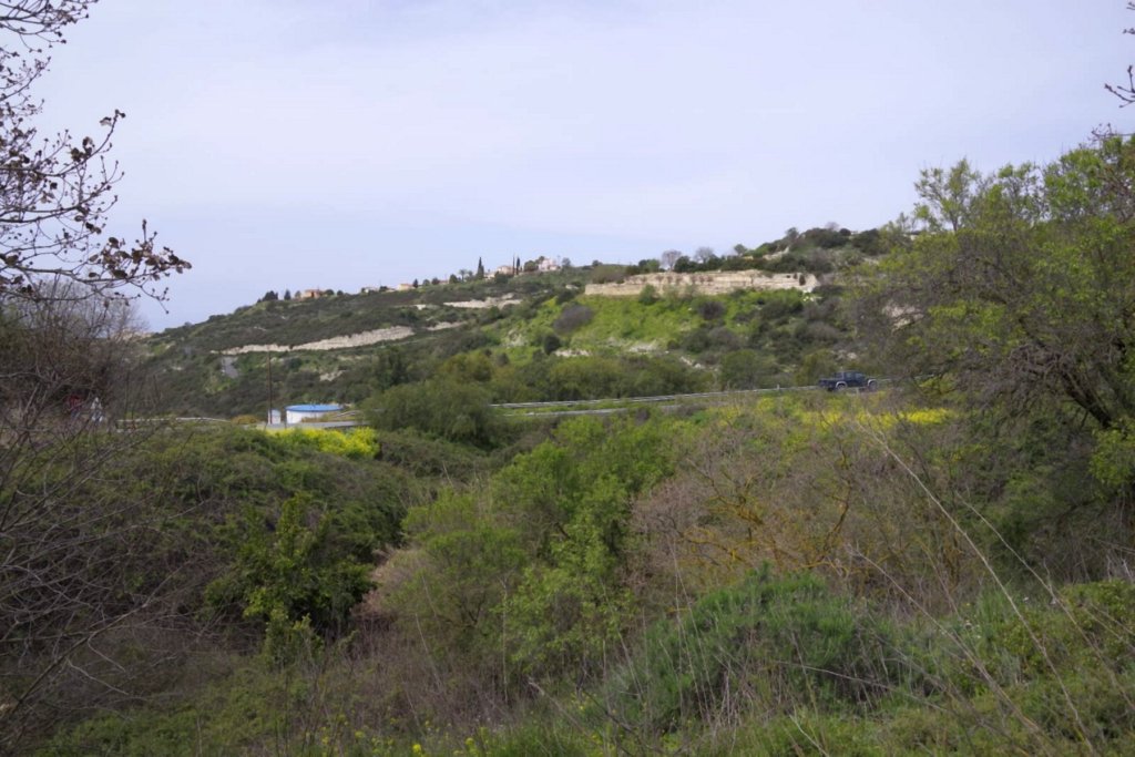 Кафе, ресторан в Пафосе, Кипр - фото 10