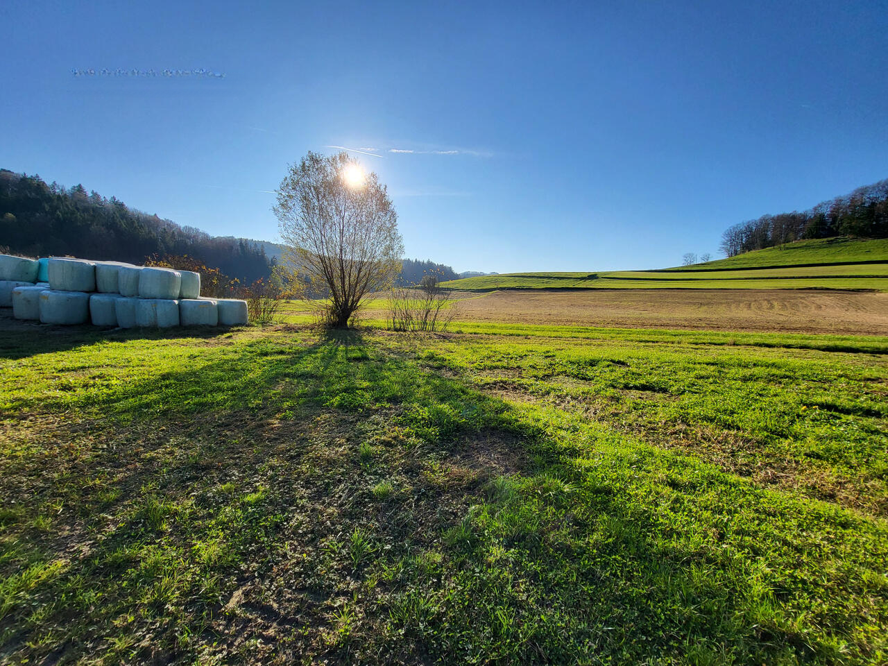 Ферма в Шмарье-при-Елшах, Словения, 95 000 м² - фото 3