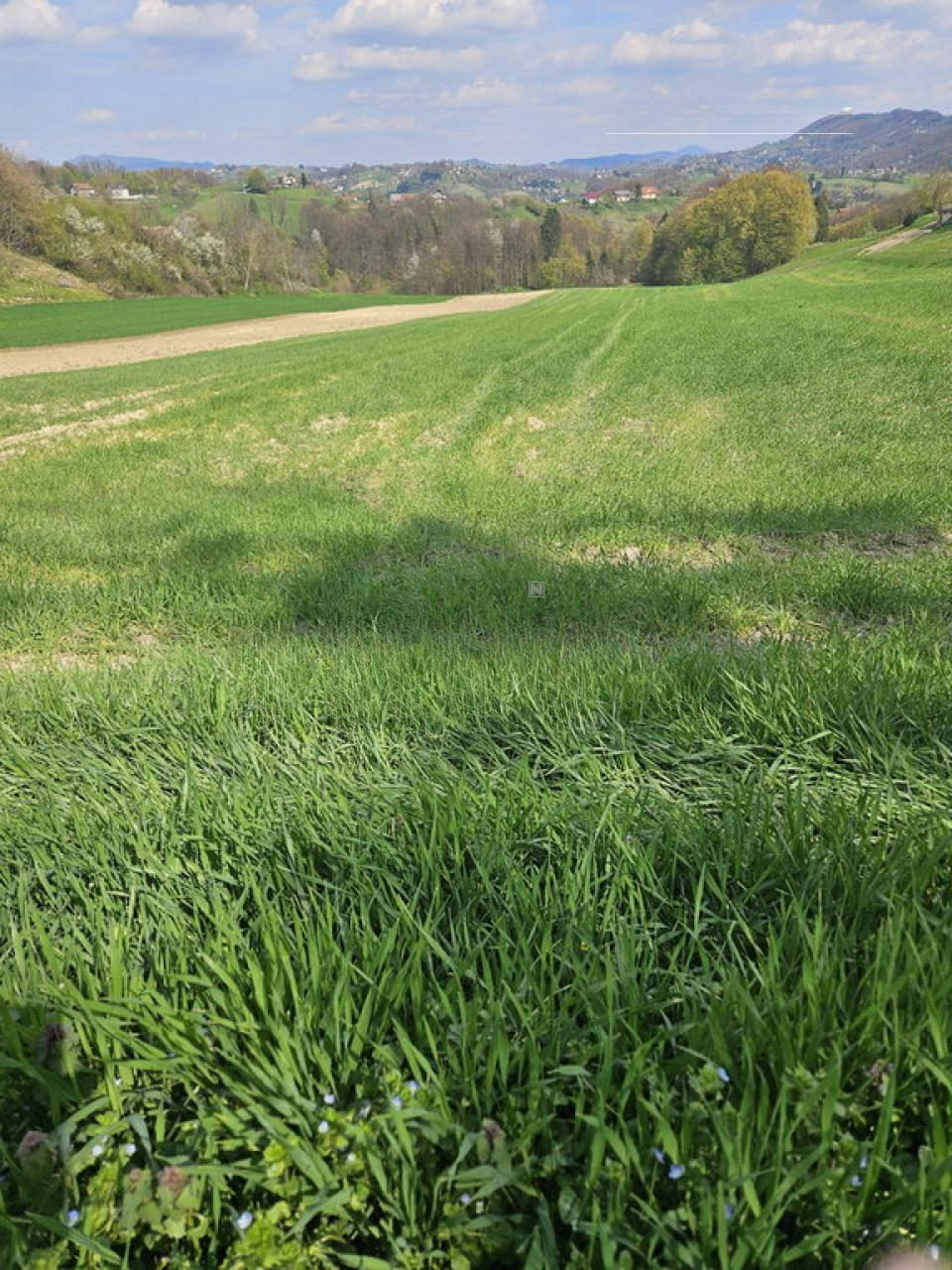 Ферма в Шмарье-при-Елшах, Словения, 165 м² - фото 4