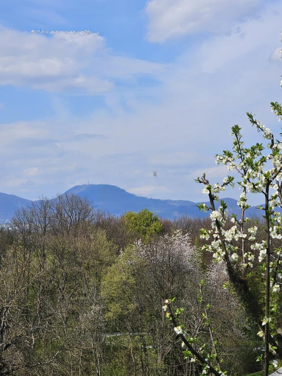 Ферма в Шмарье-при-Елшах, Словения, 165 м² - фото 5