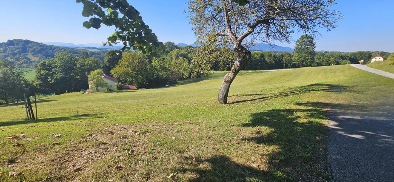 Ферма в Шмарье-при-Елшах, Словения, 165 м² - фото 7