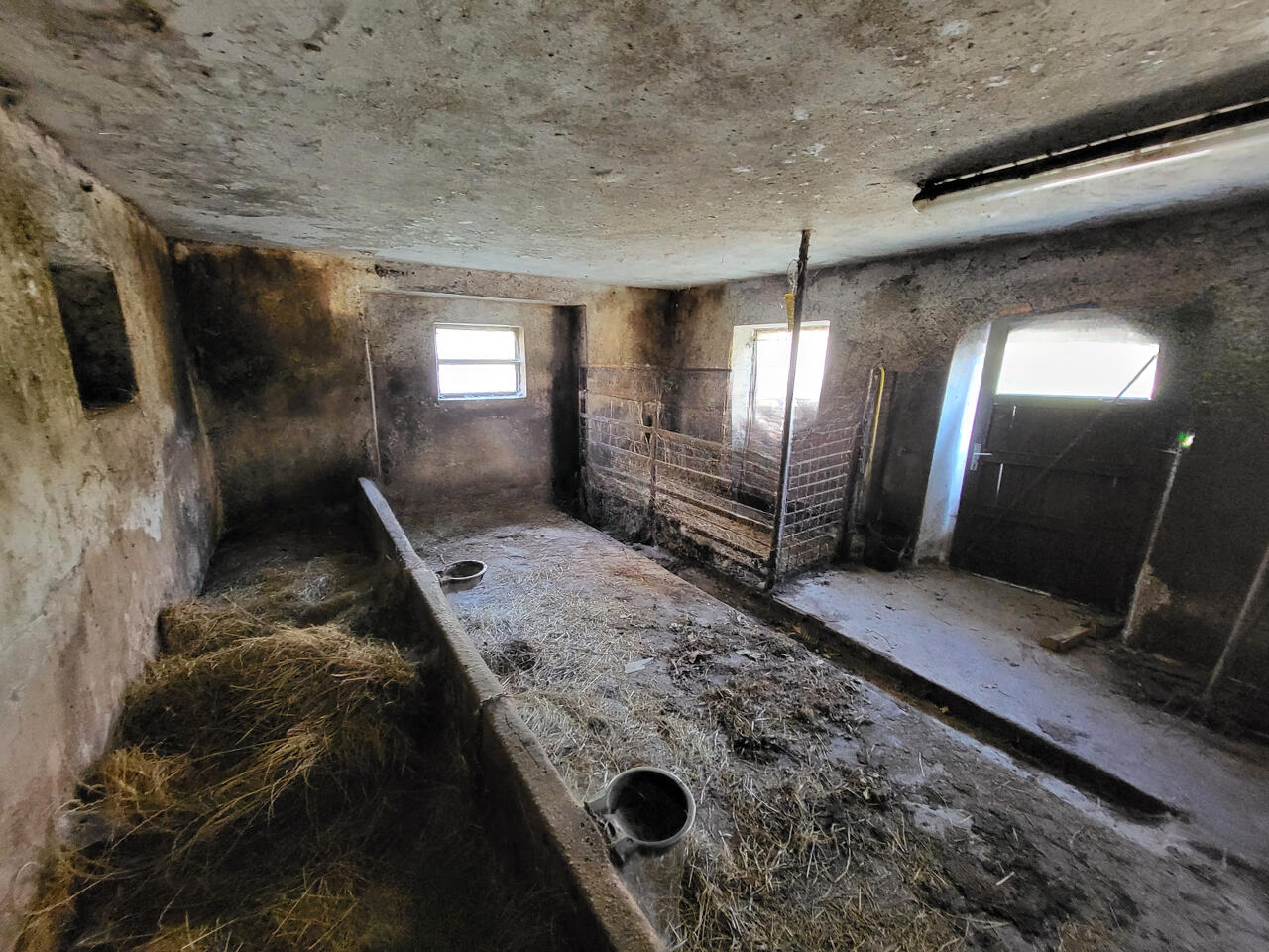 Ферма в Шмарье-при-Елшах, Словения, 95 000 м² - фото 19