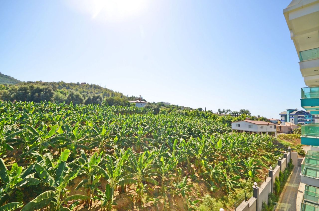 Апартаменты в Алании, Турция, 55 м² - фото 11