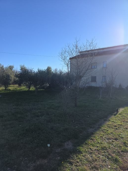 Дом в Марчане, Хорватия, 150 м² - фото 3