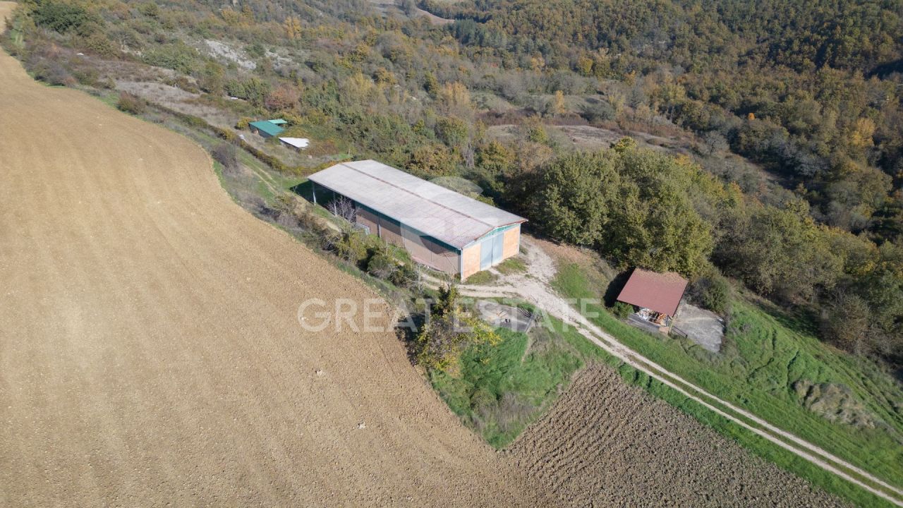 Дом в Сан-Венанцо, Италия, 612.7 м² - фото 8
