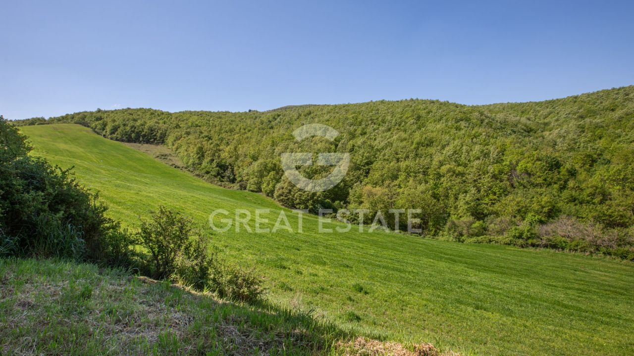Дом в Сартеано, Италия, 744.25 м² - фото 16