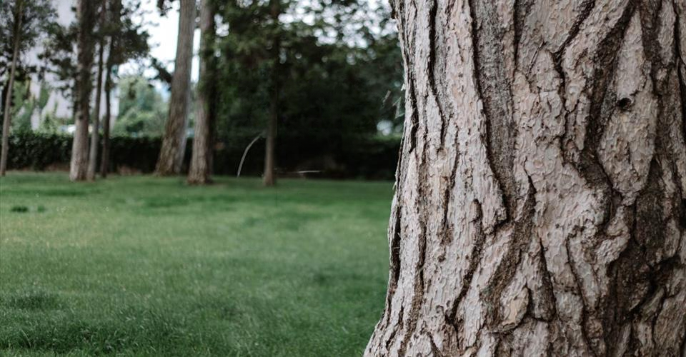 Квартира в Женеве, Швейцария, 180 м² - фото 1