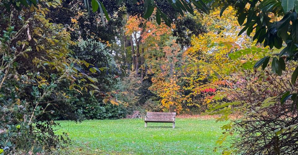Квартира в Женеве, Швейцария - фото 3