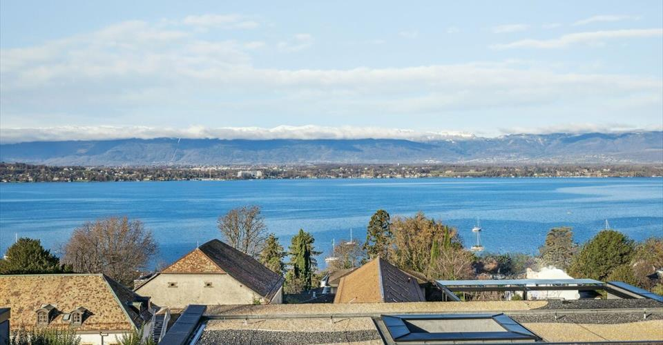 Квартира в Женеве, Швейцария, 600 м² - фото 5