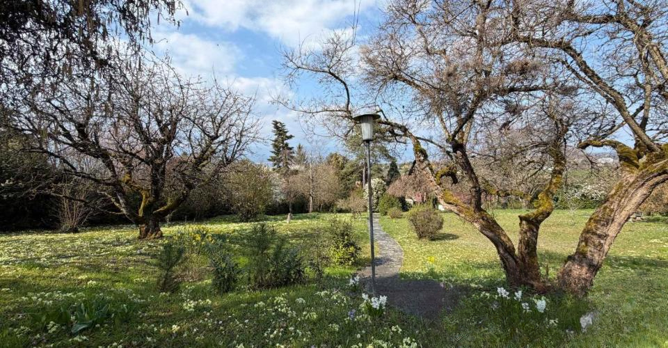 Квартира в Женеве, Швейцария, 250 м² - фото 7