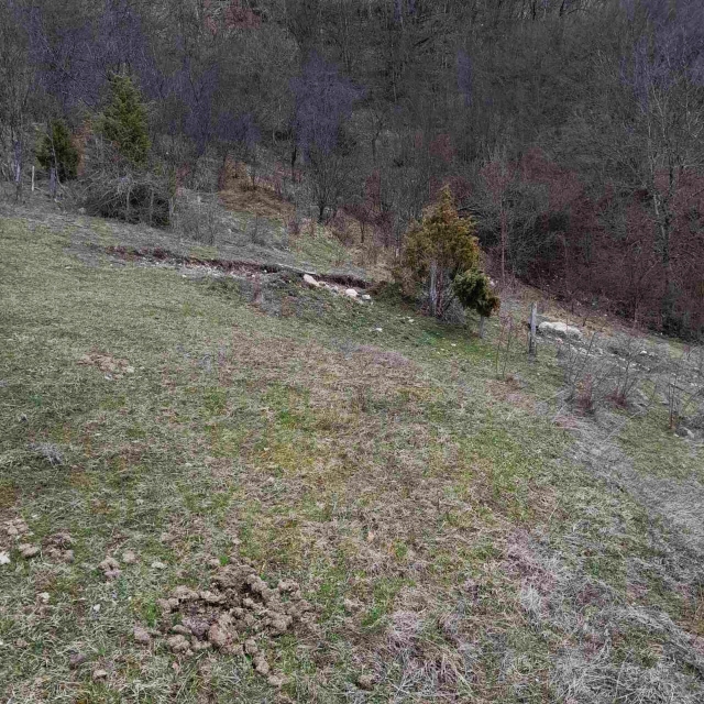 Земля в Плужине, Черногория, 7 804 м² - фото 2