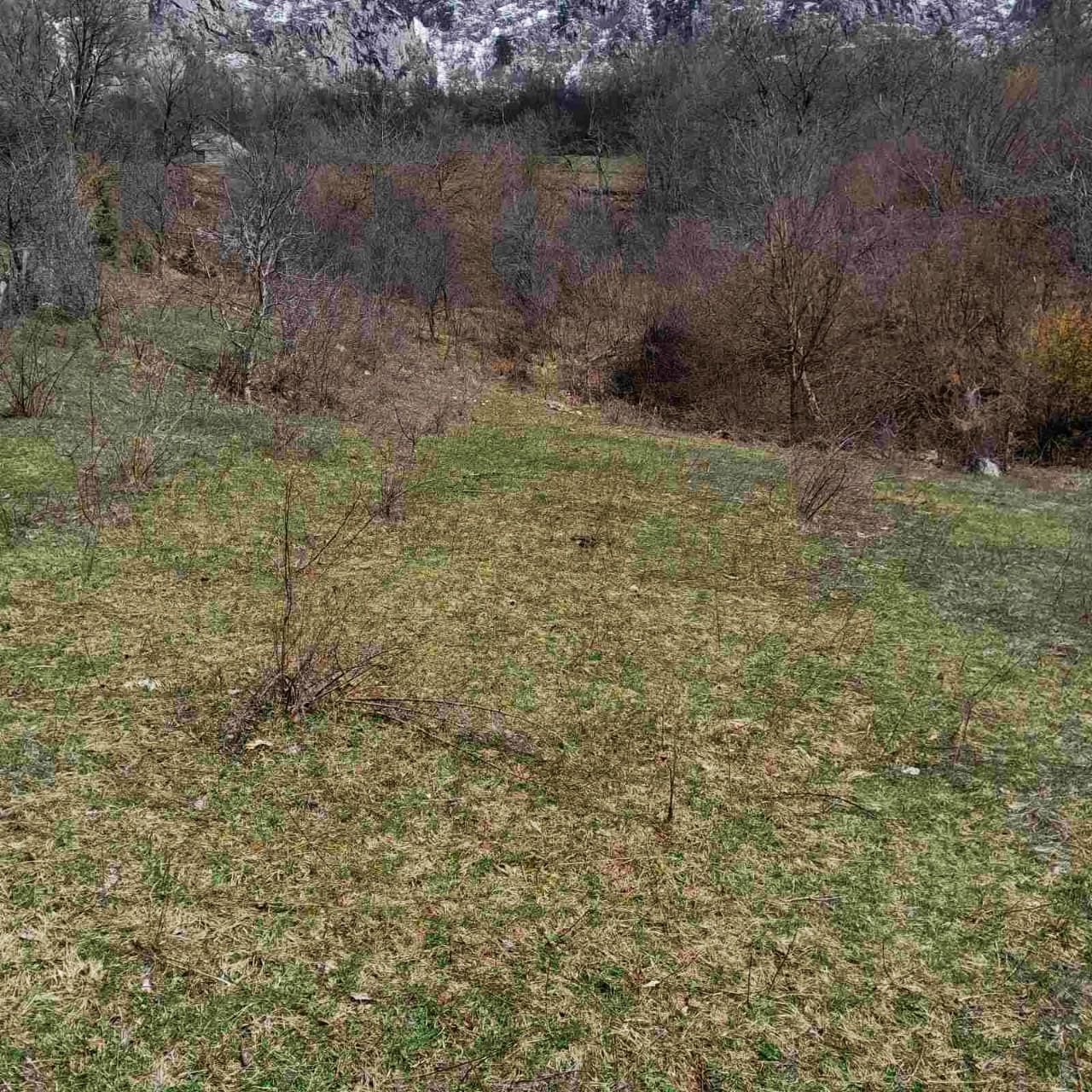 Земля в Плужине, Черногория, 7 804 м² - фото 8