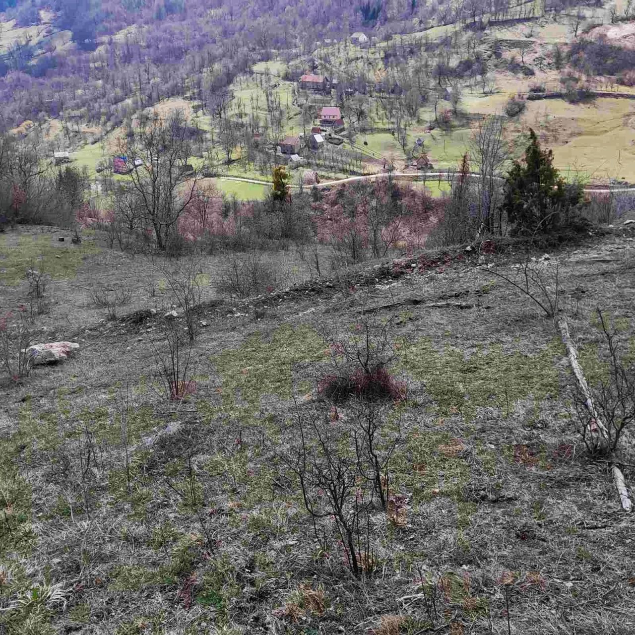 Земля в Плужине, Черногория, 7 804 м² - фото 4