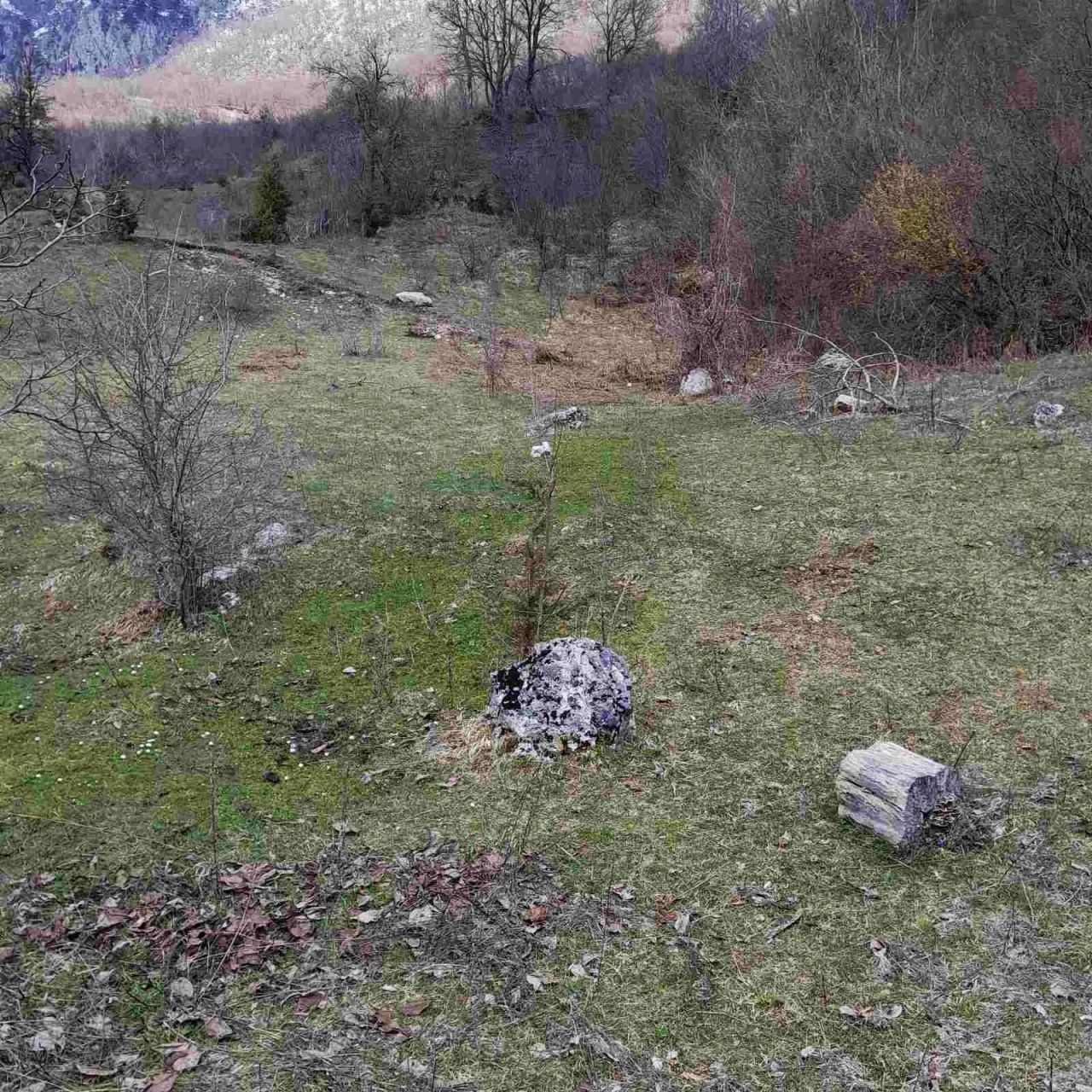 Земля в Плужине, Черногория, 7 804 м² - фото 5