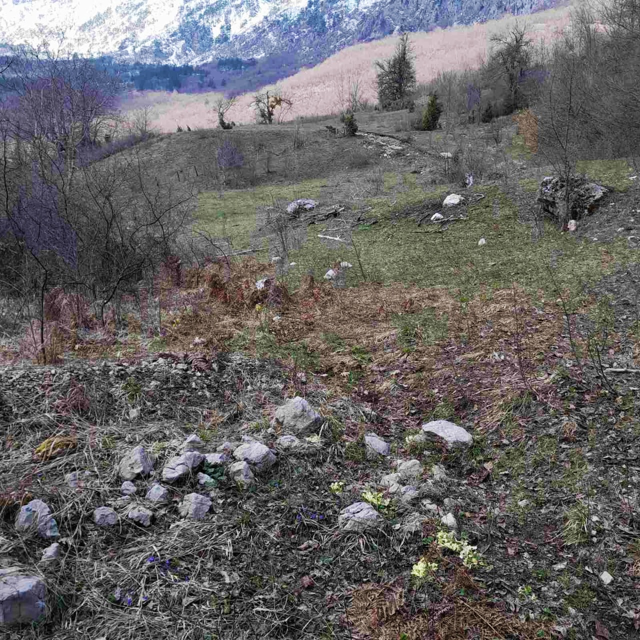 Земля в Плужине, Черногория, 7 804 м² - фото 9