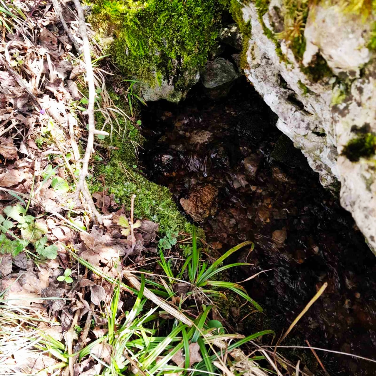 Земля в Плужине, Черногория, 7 804 м² - фото 14