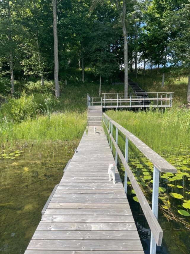 Дом в Даугавпилсском крае, Латвия, 302 м² - фото 4