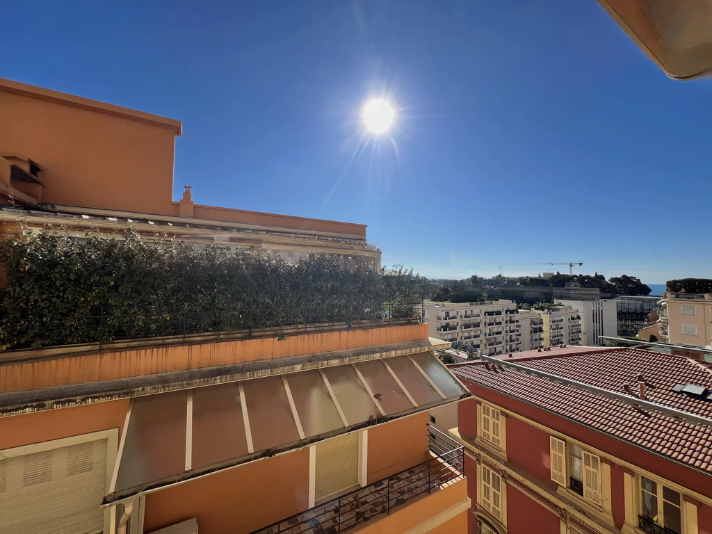 Квартира в Ла-Кондамине, Монако, 75 м² - фото 10