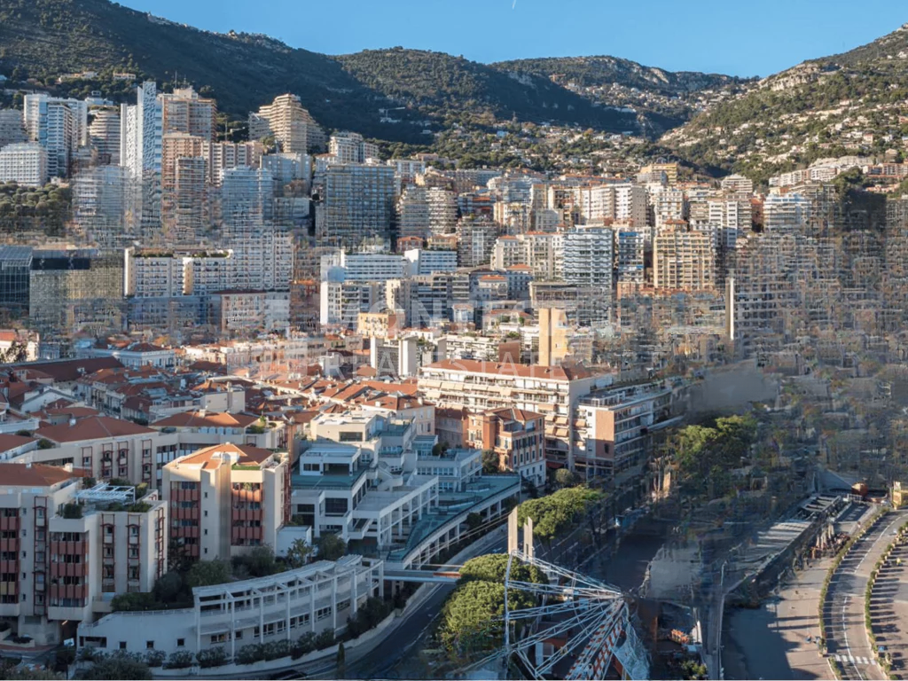 Квартира в Ла-Кондамине, Монако, 116 м² - фото 11