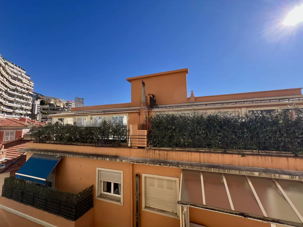 Квартира в Ла-Кондамине, Монако, 75 м² - фото 11