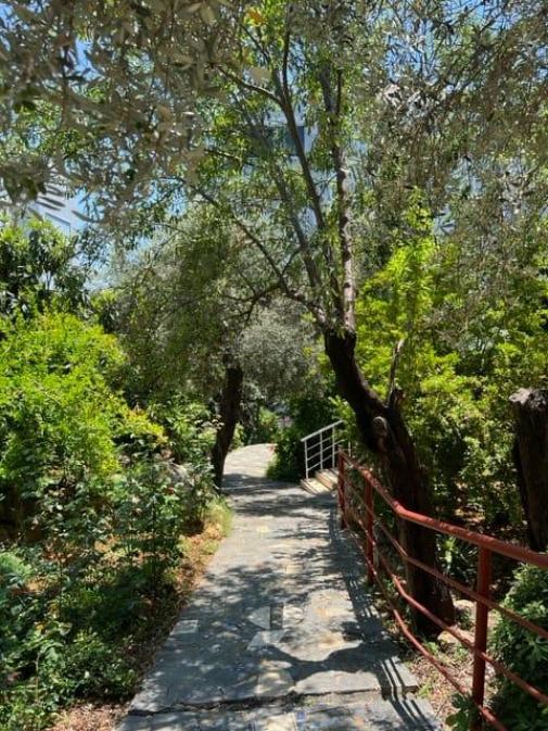 Квартира в Алании, Турция, 65 м² - фото 2