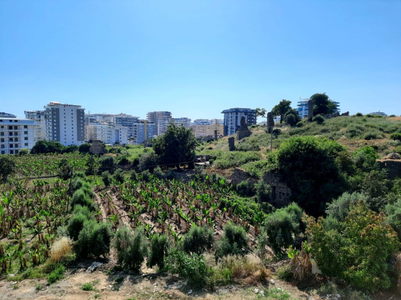 Квартира в Алании, Турция, 55 м² - фото 2