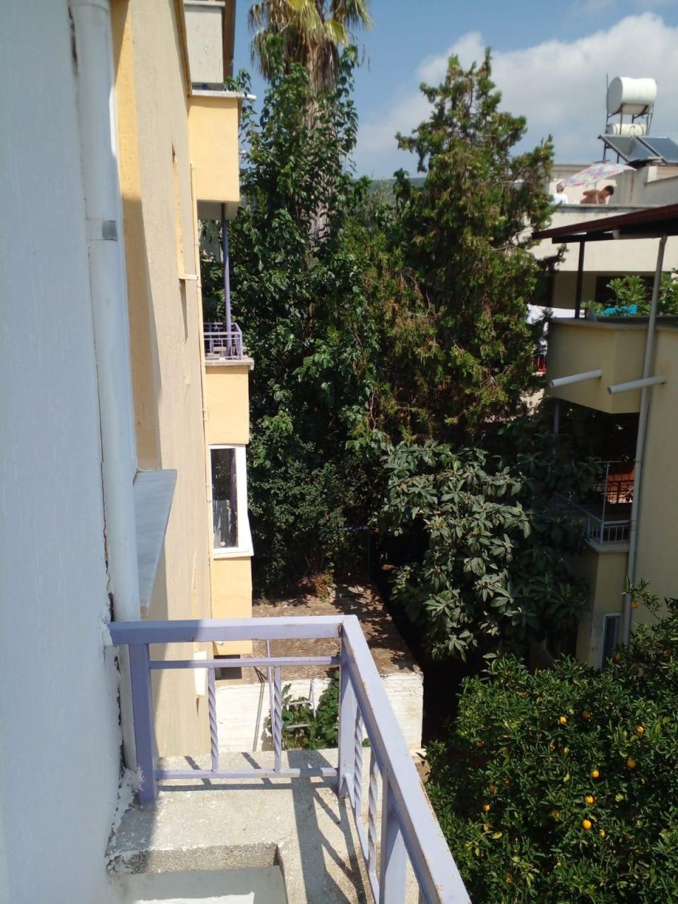 Квартира в Алании, Турция, 60 м² - фото 2