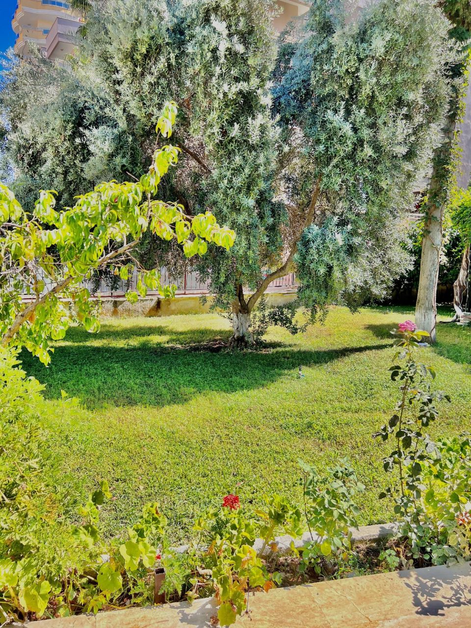 Квартира в Алании, Турция, 60 м² - фото 5