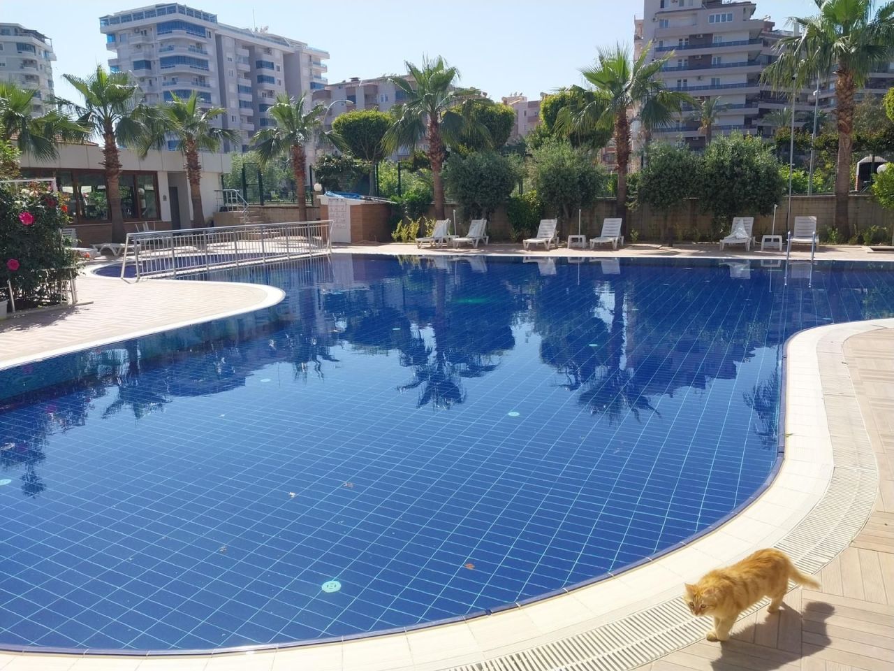 Пентхаус в Кестеле, Турция, 110 м² - фото 8