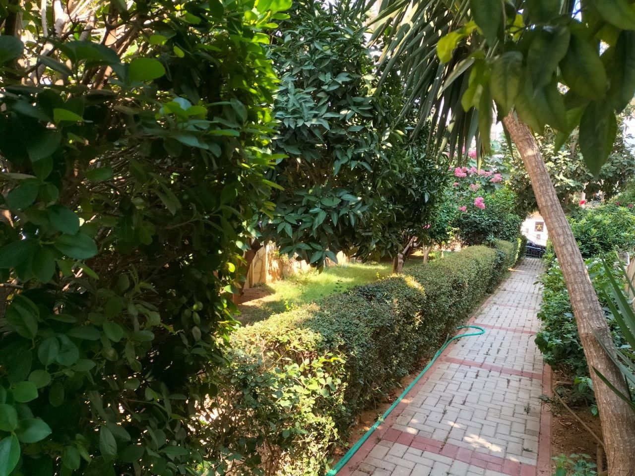 Квартира в Алании, Турция, 125 м² - фото 14