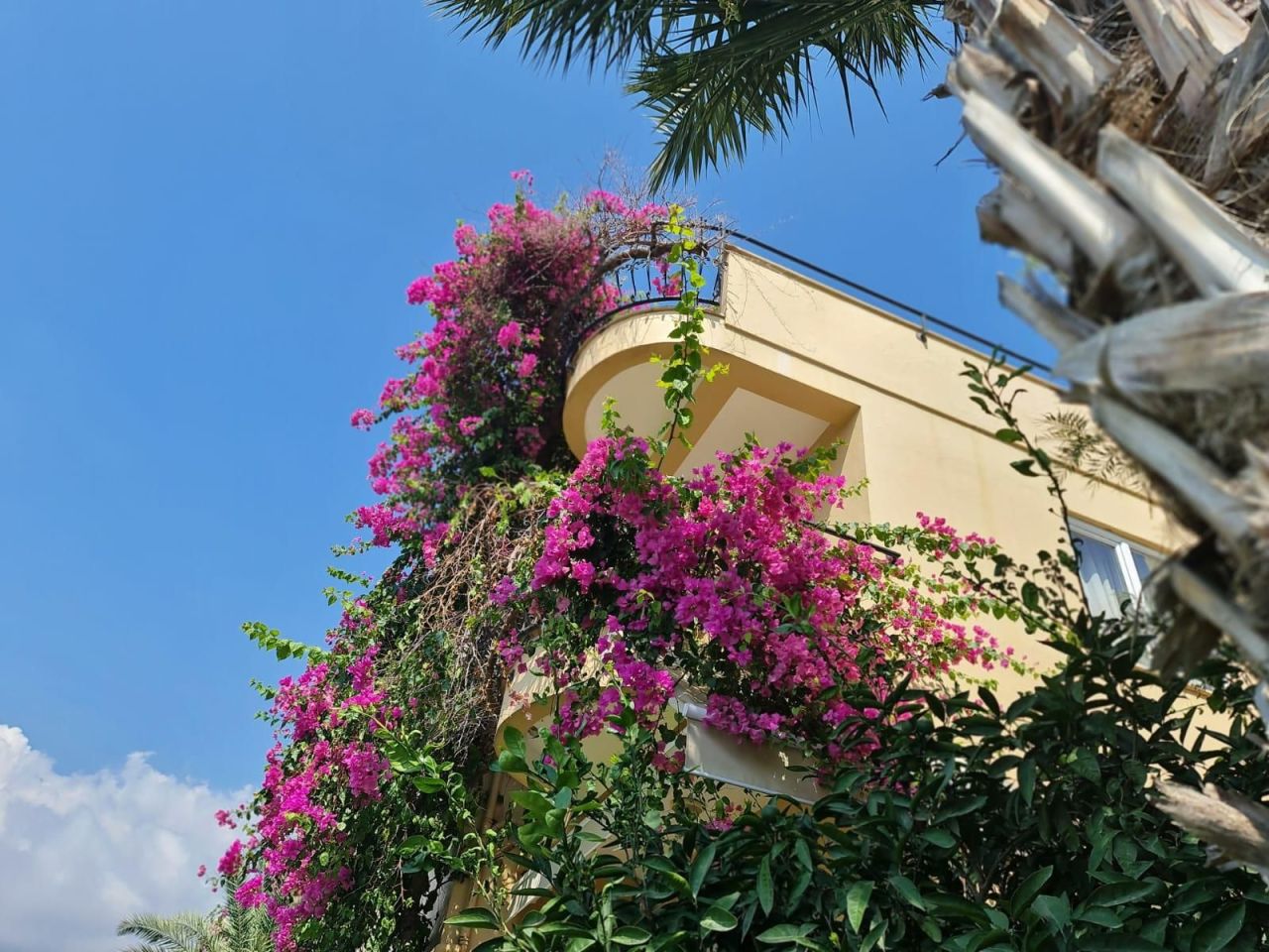 Пентхаус в Алании, Турция, 137 м² - фото 17