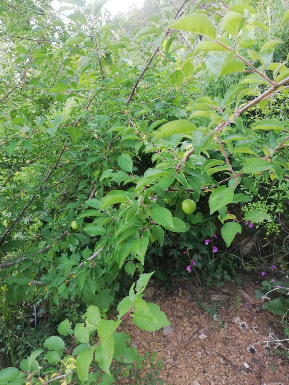 Вилла в Алании, Турция, 100 м² - фото 18