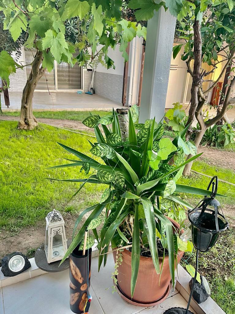 Пентхаус в Алании, Турция, 177 м² - фото 18