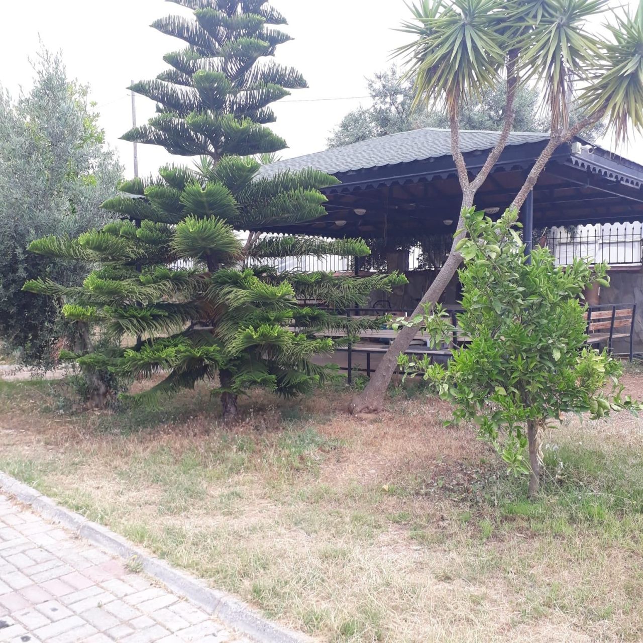 Пентхаус в Алании, Турция, 180 м² - фото 19