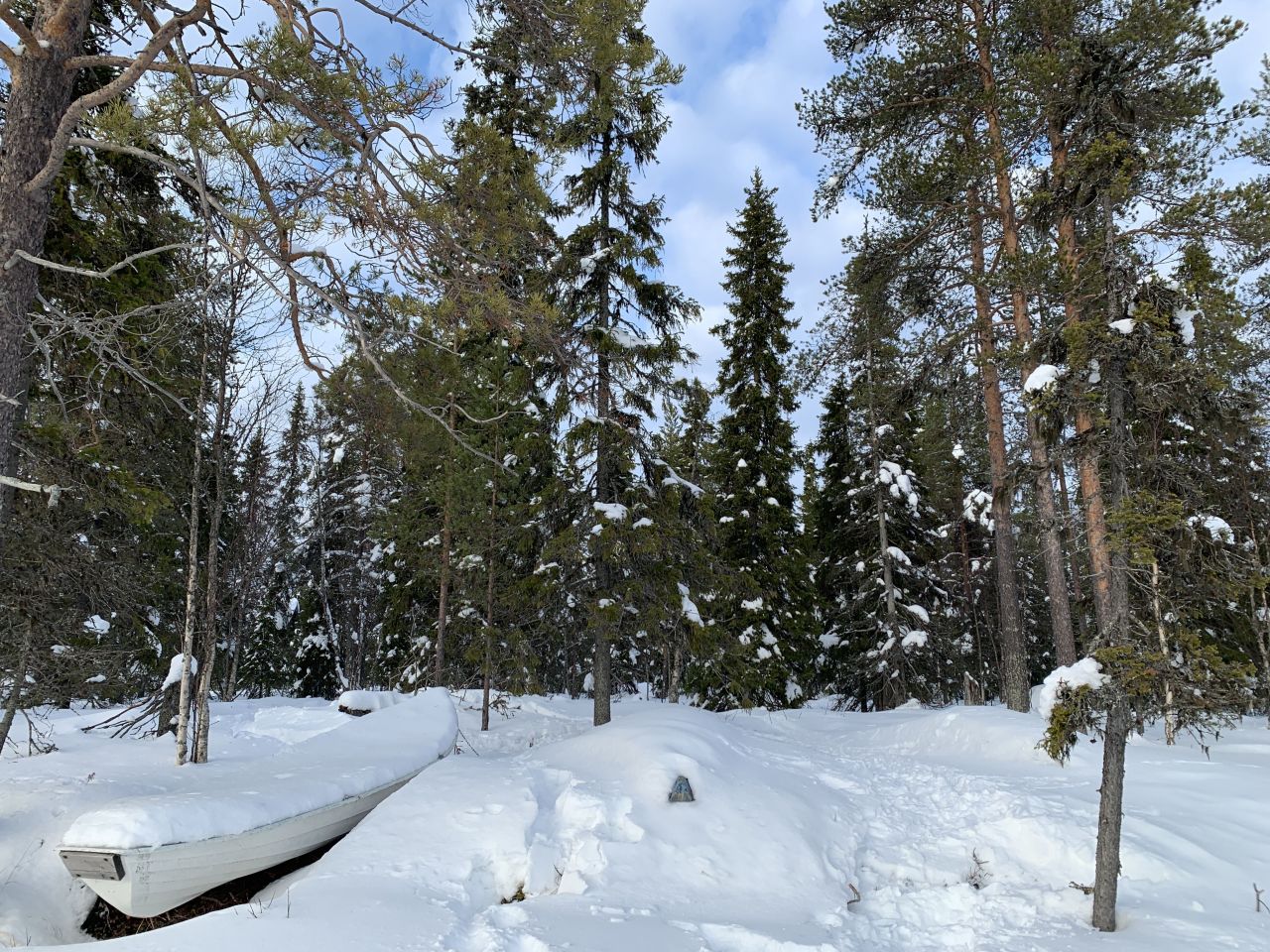 Земля в Рука, Финляндия, 3 974 м² - фото 6