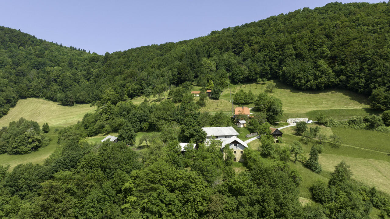 Ферма в Лашко, Словения, 100 000 м² - фото 1