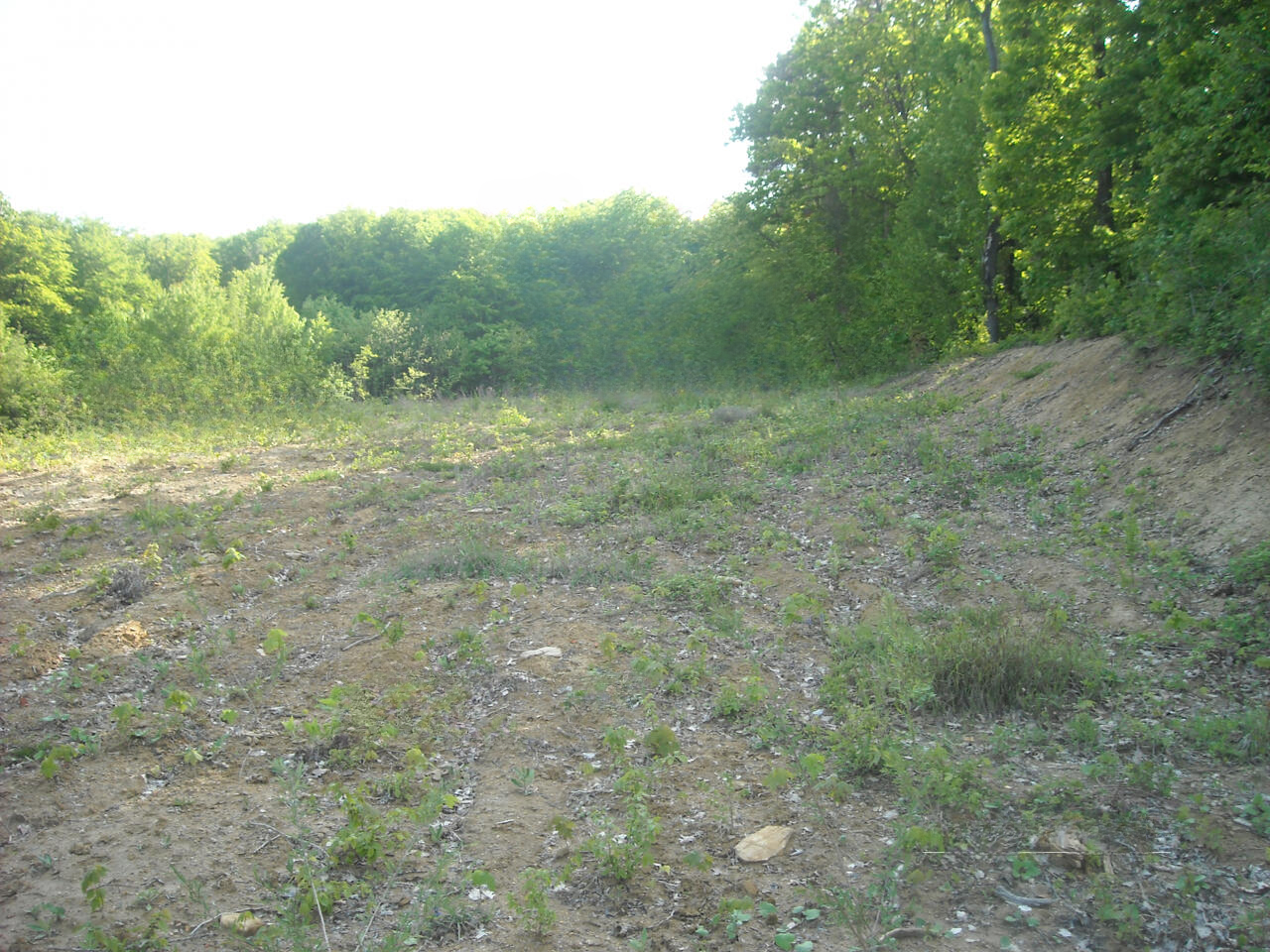 Ферма в Шмарье-при-Елшах, Словения, 38 000 м² - фото 1