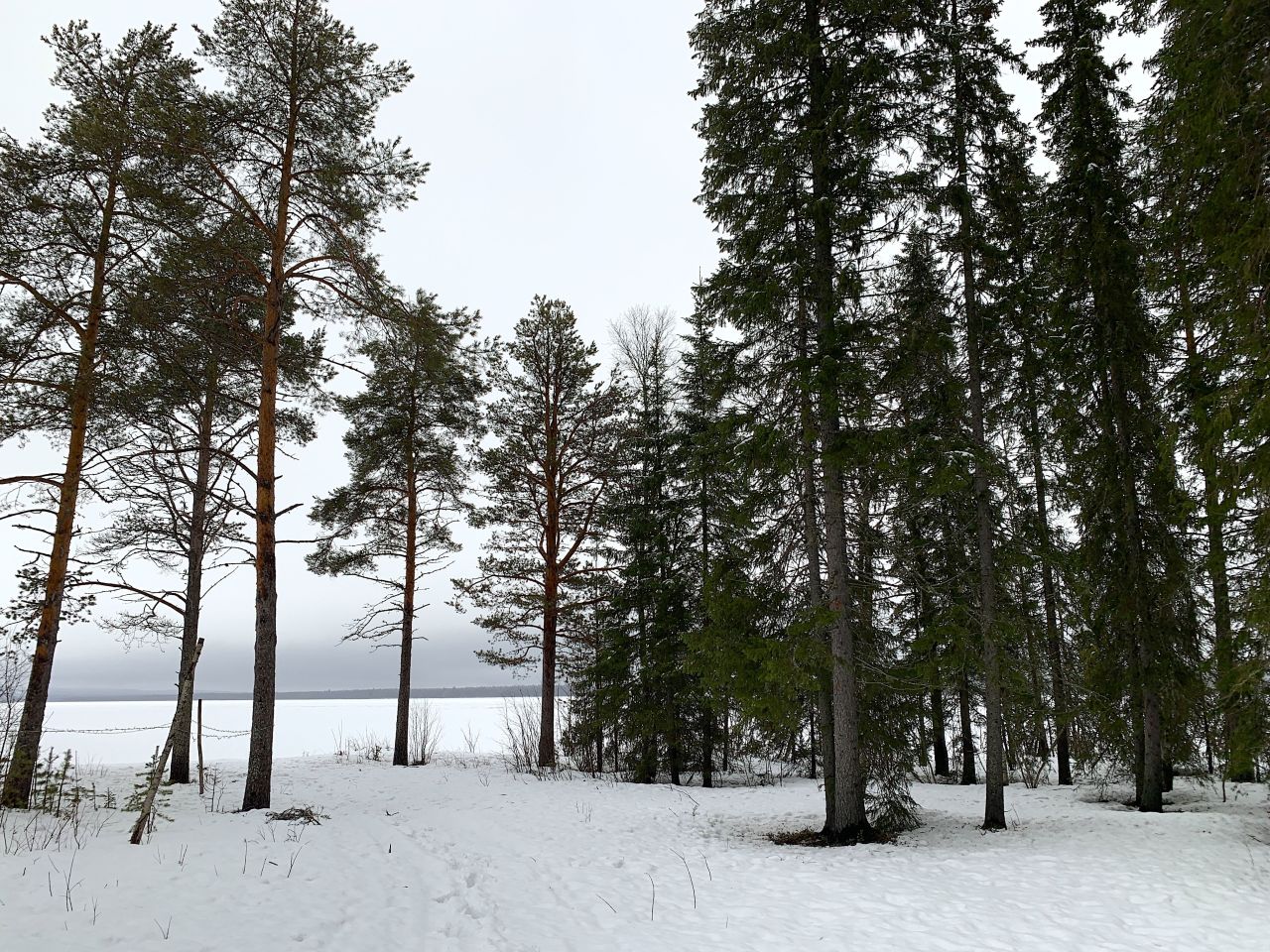 Шале в Рованиеми, Финляндия, 125 м² - фото 17