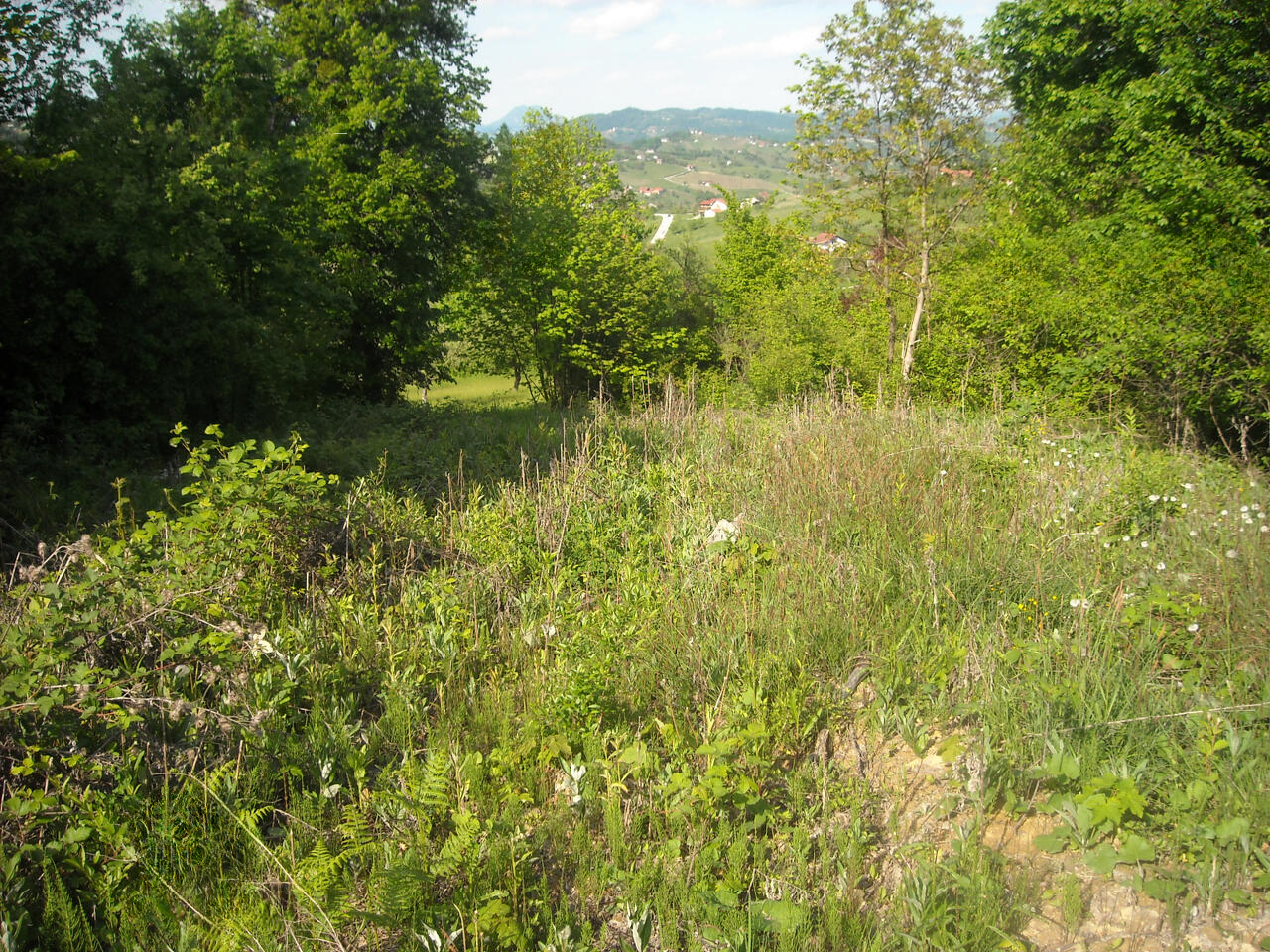 Ферма в Шмарье-при-Елшах, Словения, 38 000 м² - фото 2