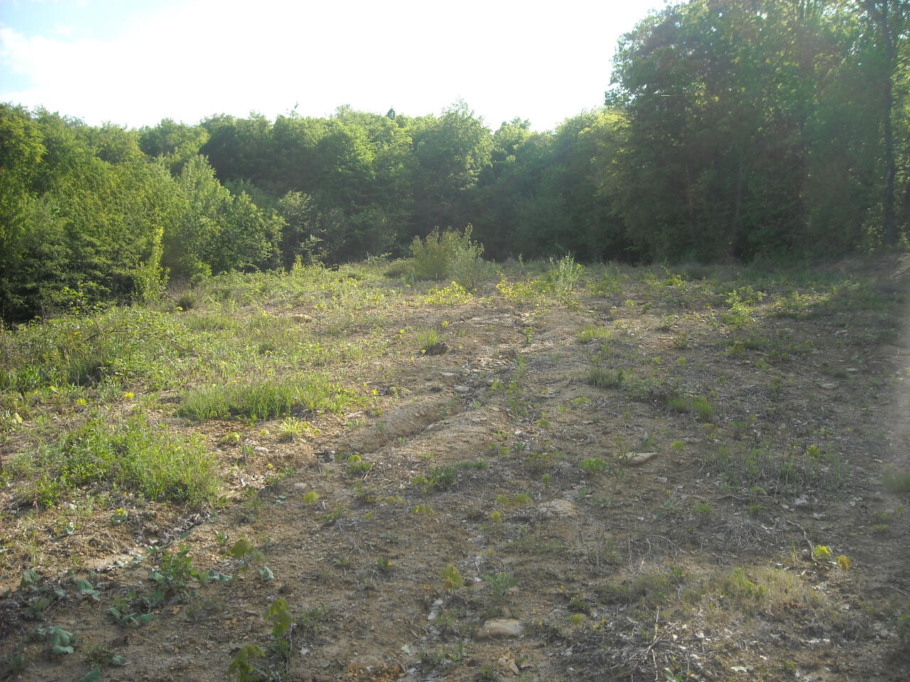 Ферма в Шмарье-при-Елшах, Словения, 38 000 м² - фото 3