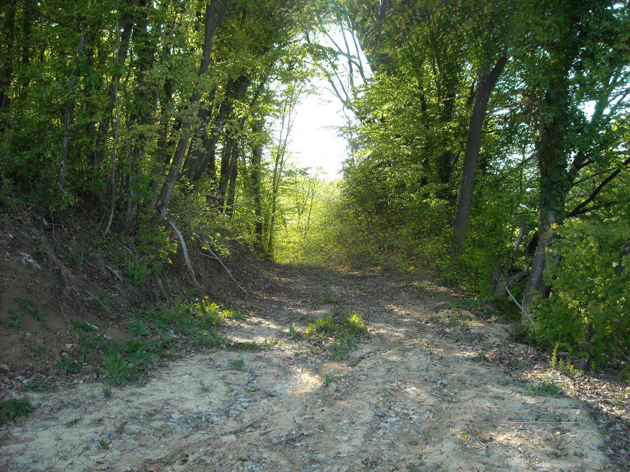 Ферма в Шмарье-при-Елшах, Словения, 38 000 м² - фото 4