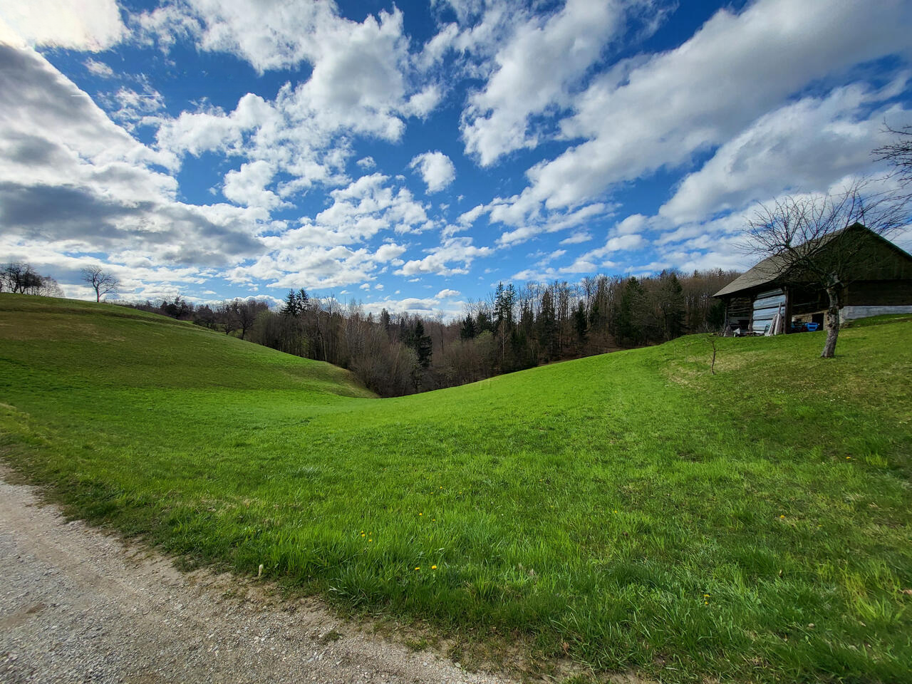 Ферма в Лашко, Словения, 117 000 м² - фото 4