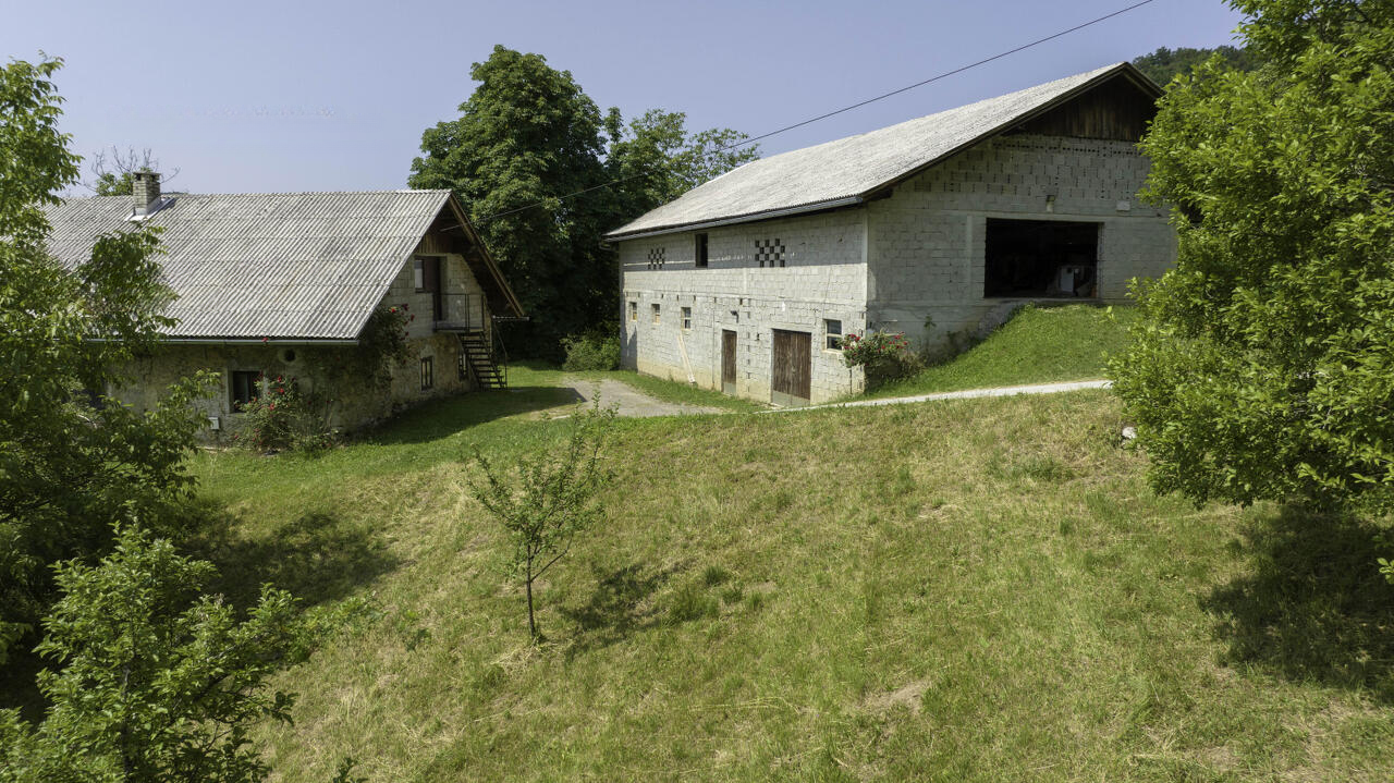 Ферма в Лашко, Словения, 100 000 м² - фото 5