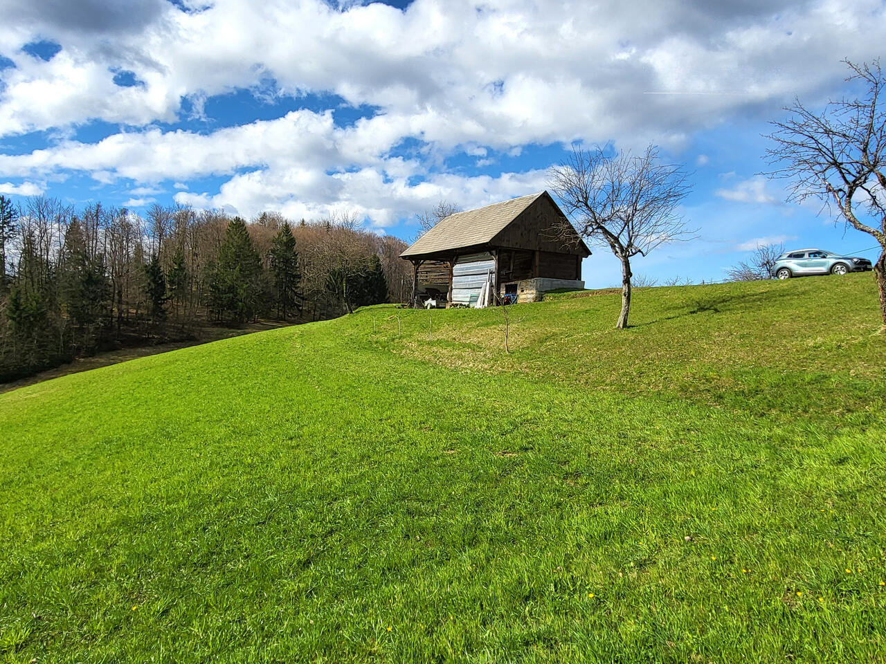 Ферма в Лашко, Словения, 117 000 м² - фото 5