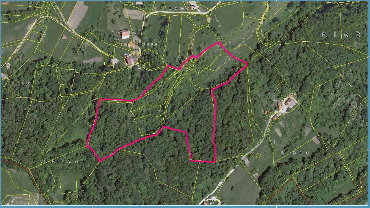 Ферма в Шмарье-при-Елшах, Словения, 38 000 м² - фото 7