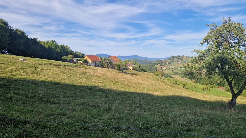 Ферма в Шентюре, Словения, 44 000 м² - фото 7