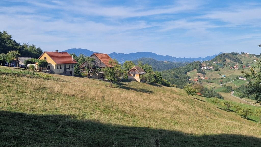 Ферма в Шентюре, Словения, 44 000 м² - фото 8