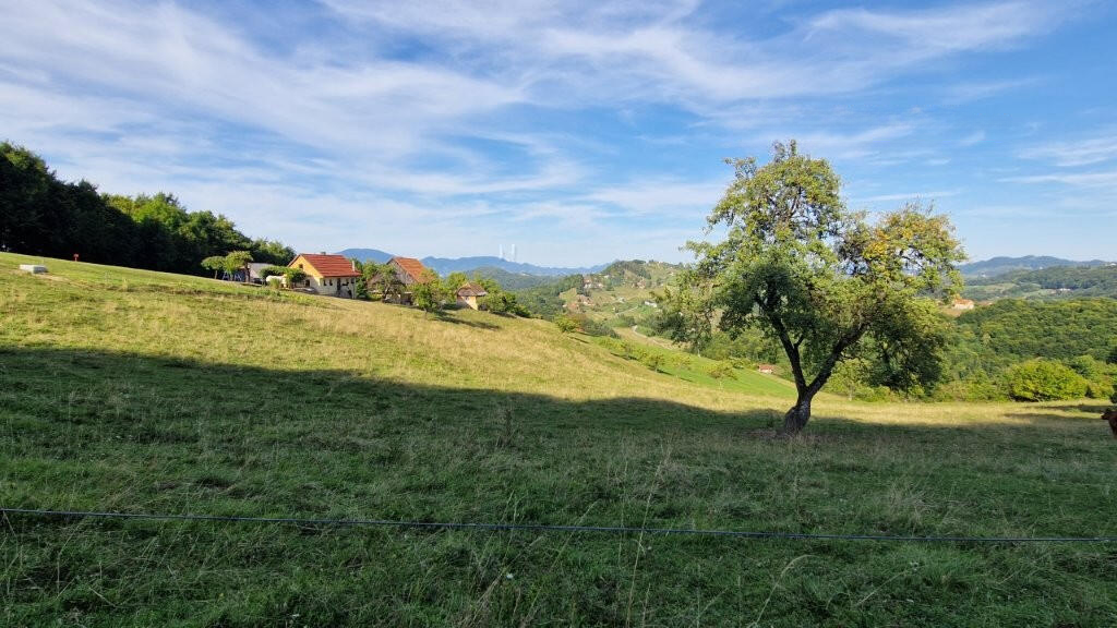 Ферма в Шентюре, Словения, 44 000 м² - фото 9