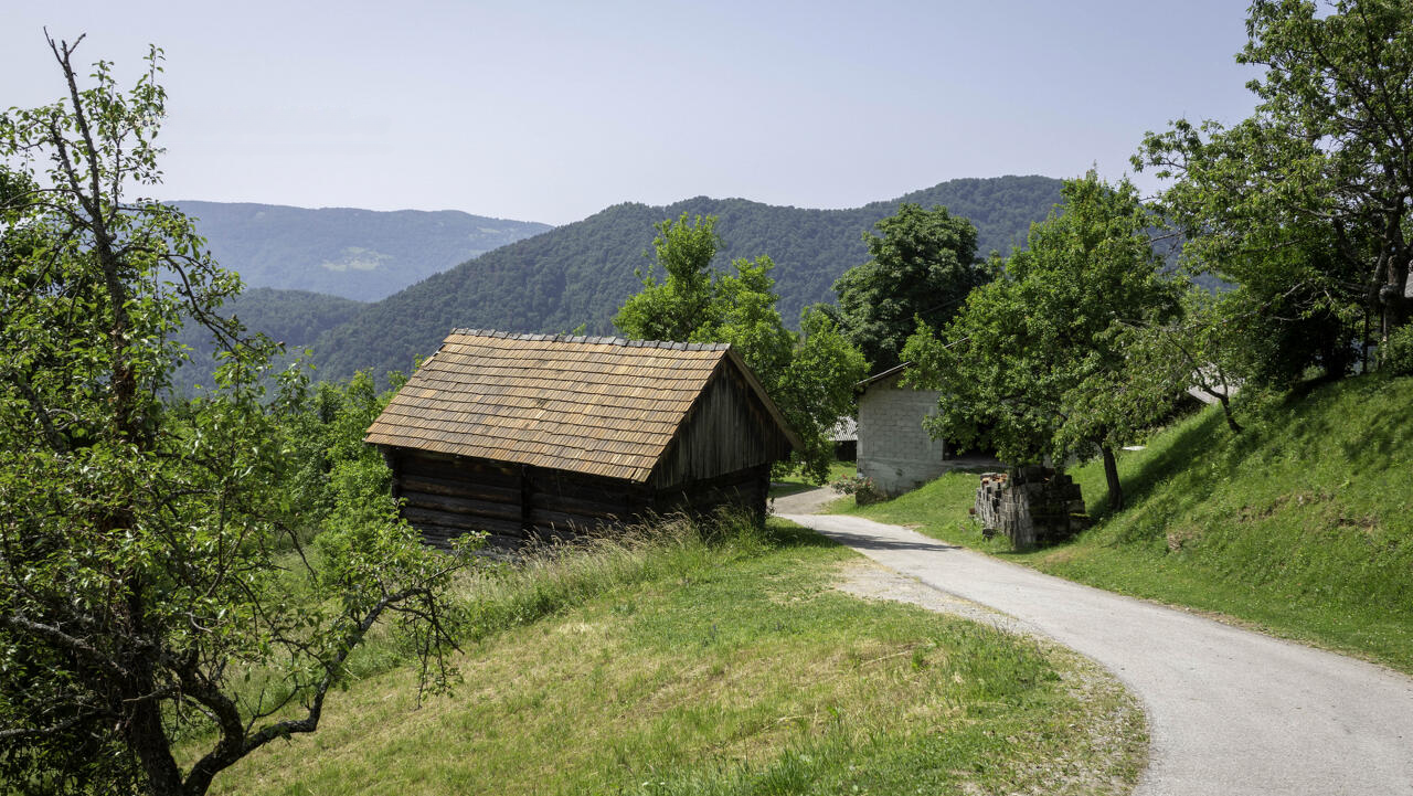Ферма в Лашко, Словения, 100 000 м² - фото 10